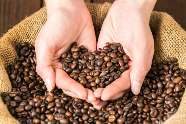 Roasted Coffee Beans