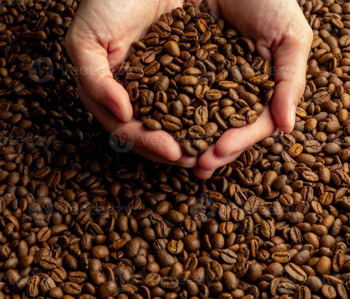 Roasted Coffee Beans